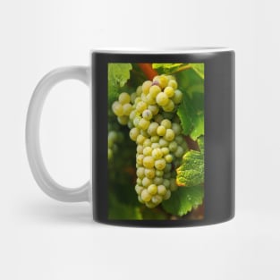 Ripening grapes on the vine Mug